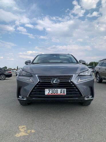 авто лексуз: Lexus NX: 2020 г., 2 л, Автоматтык, Бензин, Кроссовер