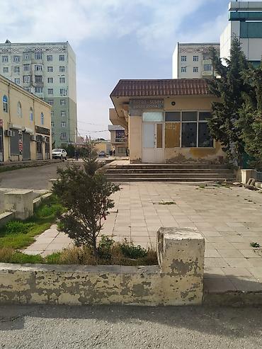 Продажа коммерческой недвижимости: Təcili!!! Razilaşma yolu ilə 17m/r, İsmət Qayıbov küçəsi, 35 kv, Yol — 5