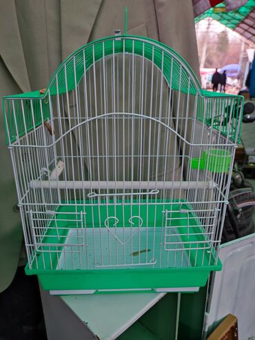 клетку для попугая: Продаю клетку для птиц. Маленькая 1000 сом, . Телефон