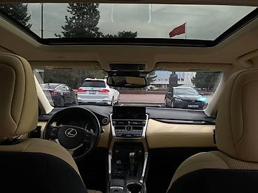 lexus cs: Lexus NX: 2018 г., 2 л, Автомат, Бензин, Кроссовер — 6