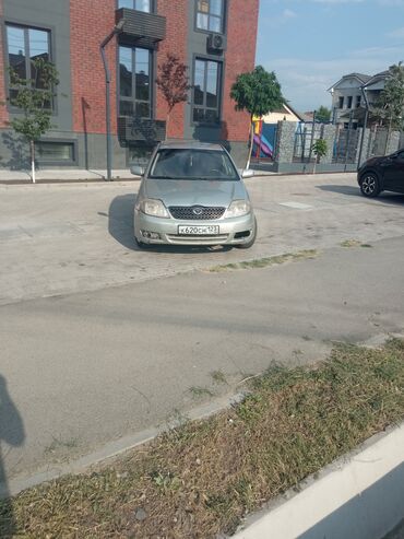 панель торпедо камри 30: Toyota Corolla: 2005 г., 1.6 л, Механика, Газ, Седан