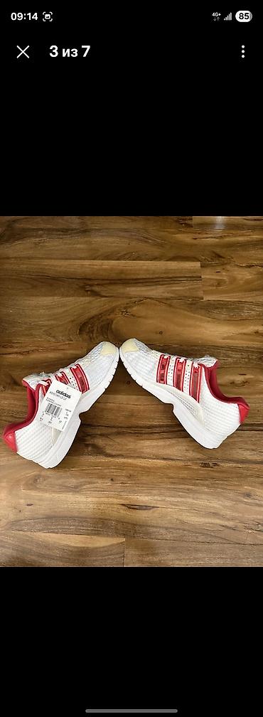 Мужская обувь: Мужские кроссовки, 41.5, Adidas, Новый, цвет - Белый — 3