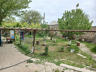 əmlak: Sənaye həyəti və sex kompleksi - Yol kənarında yerləşən, geniş — 6