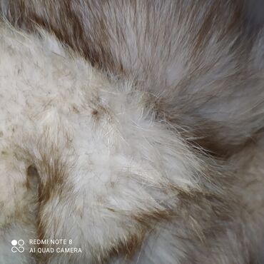 Головные уборы: Шапки мужские,мех.
Каждая по 500 сом — 9