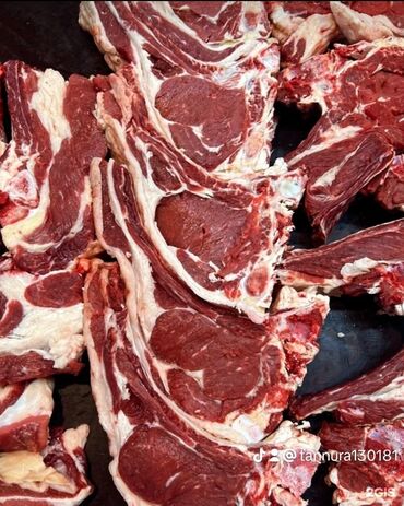 куплю мясо индейки оптом: Говядина : Голень, Лопатка, Ножки, Более 10 кг, Самовывоз, Платная доставка