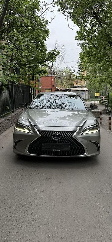 сдать книги на переработку: Сдаю Toyota Camry, Почасово, С водителем — 6