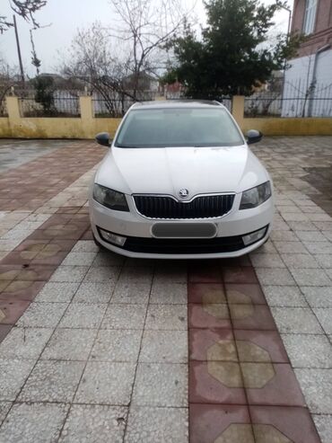 продажа авто в азербайджане: Skoda Octavia: 1.4 л | 2014 г. 380000 км Седан