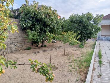 Bağ evlərinin satışı: Bakı, Albalı, 100 kv. m, 3 otaqlı, Kombi, Qaz, Su -da lalafo.az — 18 Bağ evlərinin satışı: Bakı, Albalı, 100 kv. m, 3 otaqlı, Kombi, Qaz, Su — 18