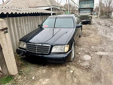 w126 купить: Mercedes-Benz S-Class: 1996 г., 5 л, Автомат, Бензин, Седан — 4
