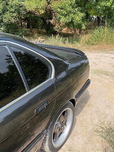 BMW: BMW 5 series: 1996 г., Механика, Бензин, Седан — 4