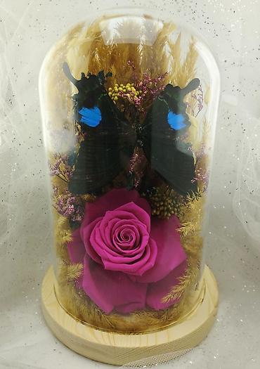 Организация мероприятий: Живые розы которые не завянут даже через год!!! Красивые цветы для — 8