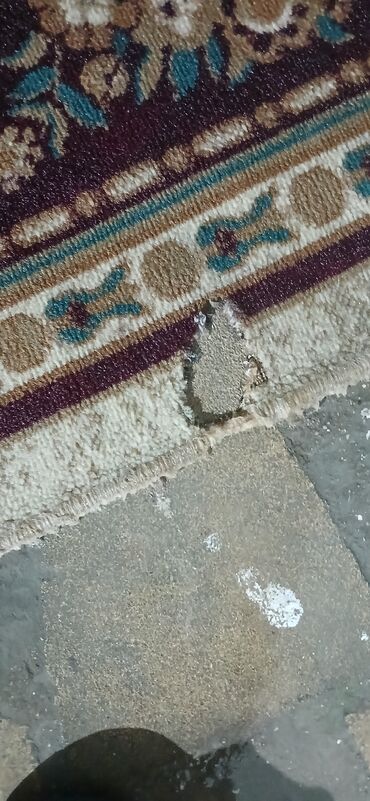 Xalçalar: Xalça Dekorativ, Kredit yoxdur — 14