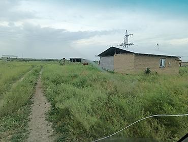 бишкек жер участок: 15 соток, Айыл чарба үчүн, Кызыл китеп — 1