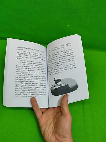 Детские книги: Хранитель Пенхэллоу книга для детского чтения в ассортименте📚 — 9
