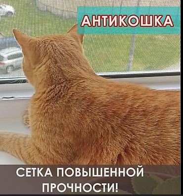 сетки: Жалюзи-москитные сетки. Изготавление и установка сеток по современным — 8
