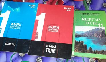 алгебра 7 класс ибраева касымов гдз: Комплект пособий и учебников по подготовке к ЖРТ и изучению