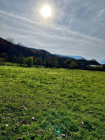 Torpaq sahələrinin satışı: 18 sot, Biznes üçün, Kupça (Çıxarış) — 11