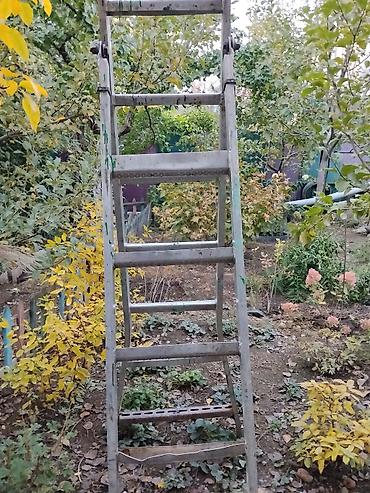 раскладной: Продам советскую раскладную лестницу из толстого — 1