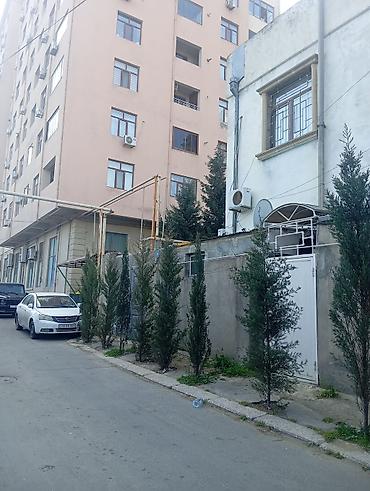 bine qesebesinde: Bakixanov qəsəbəsinin mərkəzində, əsas yoldan cəmi 35 metr məsafədə — 2