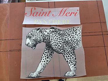 Декоративные наклейки: ДТФ, DTF, Наклейки. Термонаклейки для одежды (переводные изображения — 1