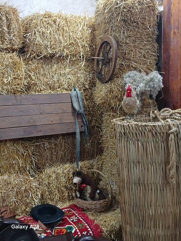 Reklam, çap: Fotosesiya. Endirim . Məktəbli çəkilişiad günüvə başqa özəl — 2