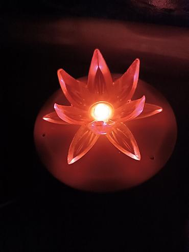 лампы led: Ночник Лилия 
Производство СССР 
Рабочий! 
Все на фото! — 7