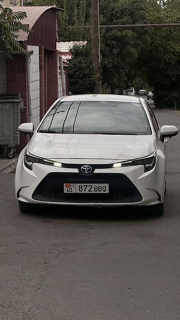 levin corolla: Toyota Corolla: 2021 г., 1.8 л, Вариатор, Гибрид, Седан — 1