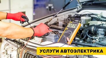 Другие автоуслуги: Авто электрик на выезд ремонт любой сложности 12V24V