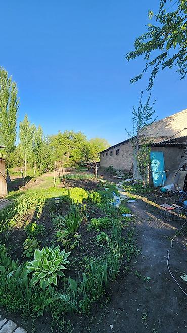 Продажа коттеджей и домов: Дом с двором и хозяйственными постройками - Закрытая территория с — 5