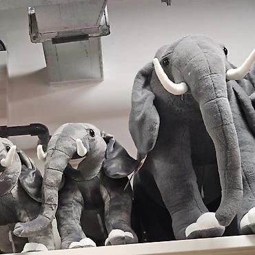 Plišane igračke: Slon igracka plisana Imamo u ponudi vece i manje Veci slon: 7200 din — 11