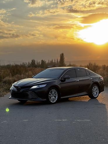 бюджетные авто: Toyota Camry: 2019 г., 2.5 л, Автомат, Бензин, Седан — 2