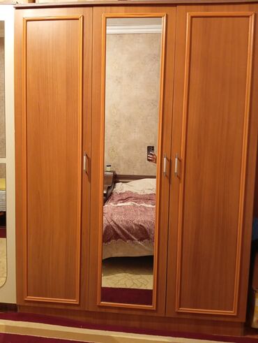 Mebel: İşlənmiş, Açılan, 3 qapılı Düz dolab, Dolab-asılqan