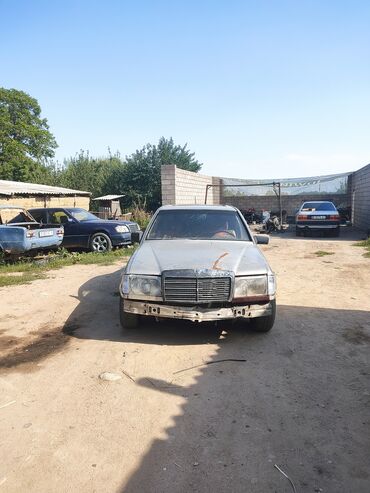 купить мерседес спринтер в европе: Mercedes-Benz W124: 1985 г., 2.9 л, Механика, Дизель, Седан
