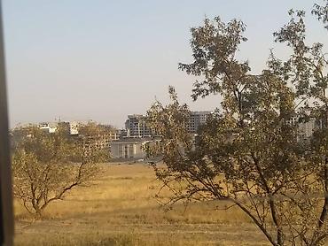 Помидоры: Помидоры Сливки — 18