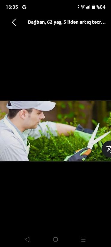 garden: Bağban xidməti – 5 ildən artıq təcrübə Təklif olunan işlər: - — 1