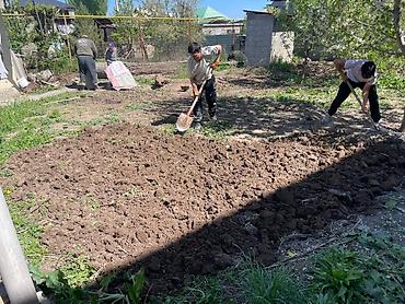 садовые работы: Услуги по благоустройству и уборке приусадебных участков - Расчистка — 5
