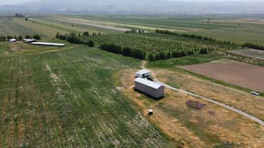 Сельхоз предприятия: 550 соток, Действующий, С оборудованием, Электричество — 5