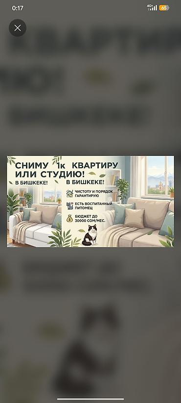 Сниму квартиру: Сниму 1‑комнатную квартиру или студию в Бишкеке. Пожелания и условия — 1