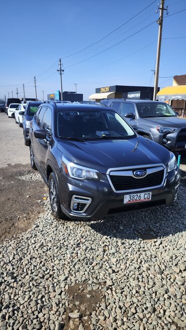 Subaru: Subaru Forester: 2019 г., 2.5 л, Вариатор, Бензин, Кроссовер