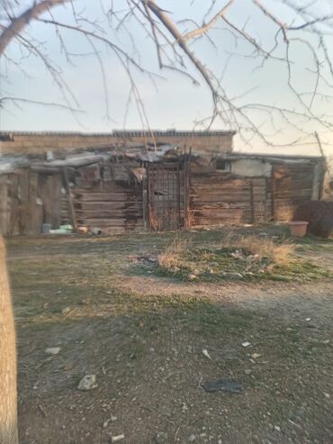 Torpaq sahələrinin satışı: 60 sot, Kənd təsərrüfatı, Barter mümkündür, Kupça (Çıxarış), Texniki pasport — 2