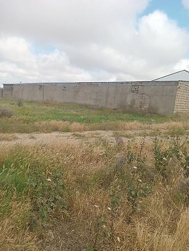 sibriz: 10 sot, Kənd təsərrüfatı, Mülkiyyətçi, Kupça (Çıxarış), Texniki pasport — 1