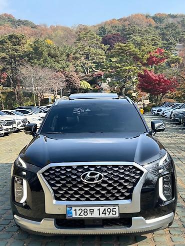 Hyundai: Hyundai Palisade: 2020 г., Бензин, Кроссовер — 18