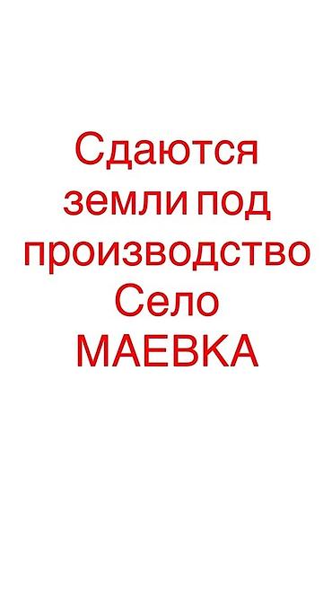 локация: Для бизнеса — 1