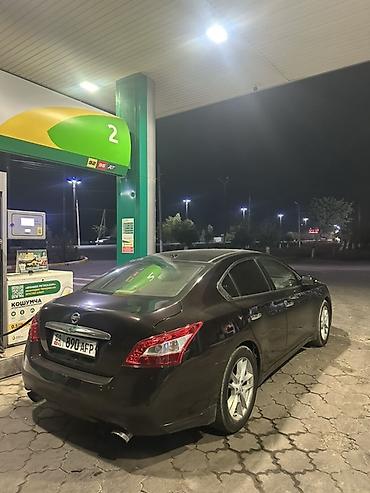 Продажа авто: Nissan Maxima: 2010 г., 3.5 л, Автомат, Бензин, Седан — 4