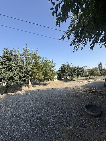 Torpaq sahələrinin satışı: 25 sot, Tikinti, Mülkiyyətçi, Kupça (Çıxarış) — 10