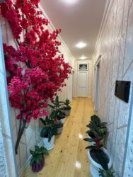 Həyət evləri və villaların satışı: Masazır 3 otaqlı, 90 kv. m, Yeni təmirli -da lalafo.az — 16 Həyət evləri və villaların satışı: Masazır 3 otaqlı, 90 kv. m, Yeni təmirli — 16