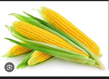 дробленная кукуруза: 🌽 кукуруза 12сом хорошее качество