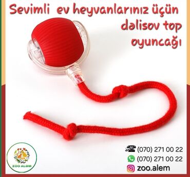 pişik yuvaları: Ağıllı top oyunçağı (pişik və it üçün) Ev heyvanınızı darıxmağa
