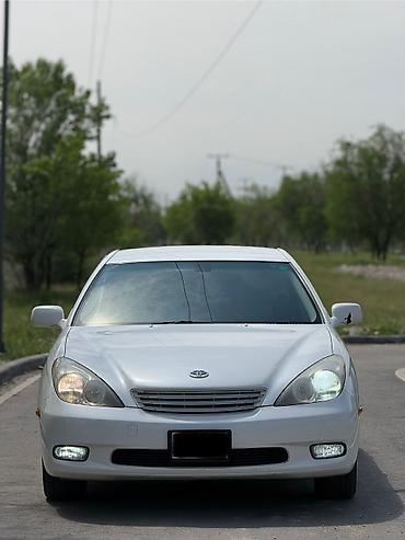 Toyota: Toyota Windom: 2003 г., 3 л, Автомат, Бензин, Седан — 3