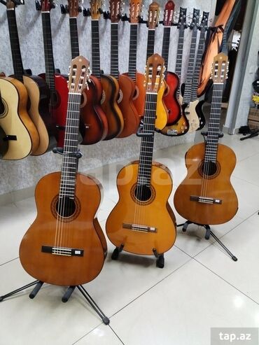 Klassik gitaralar: Klassik gitara, Yeni, Ünvandan götürmə — 13